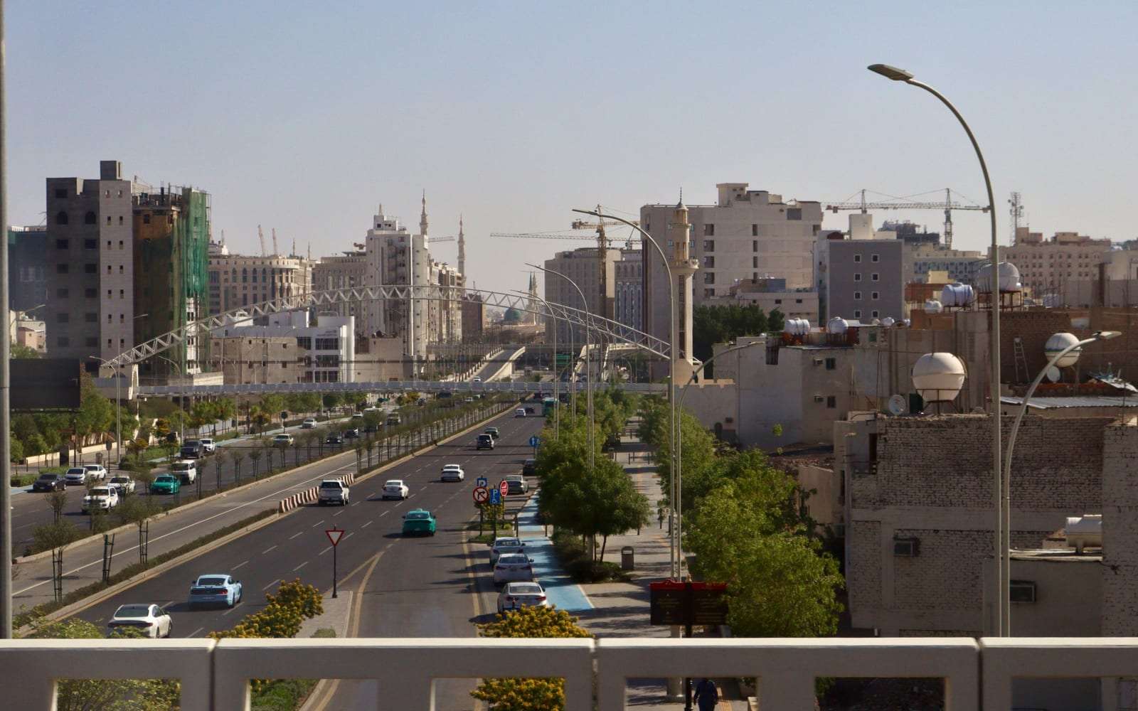 شارع واسع في الرياض تحفه الأشجار وتصطف على جانبيه مبانٍ سكنية وتجارية